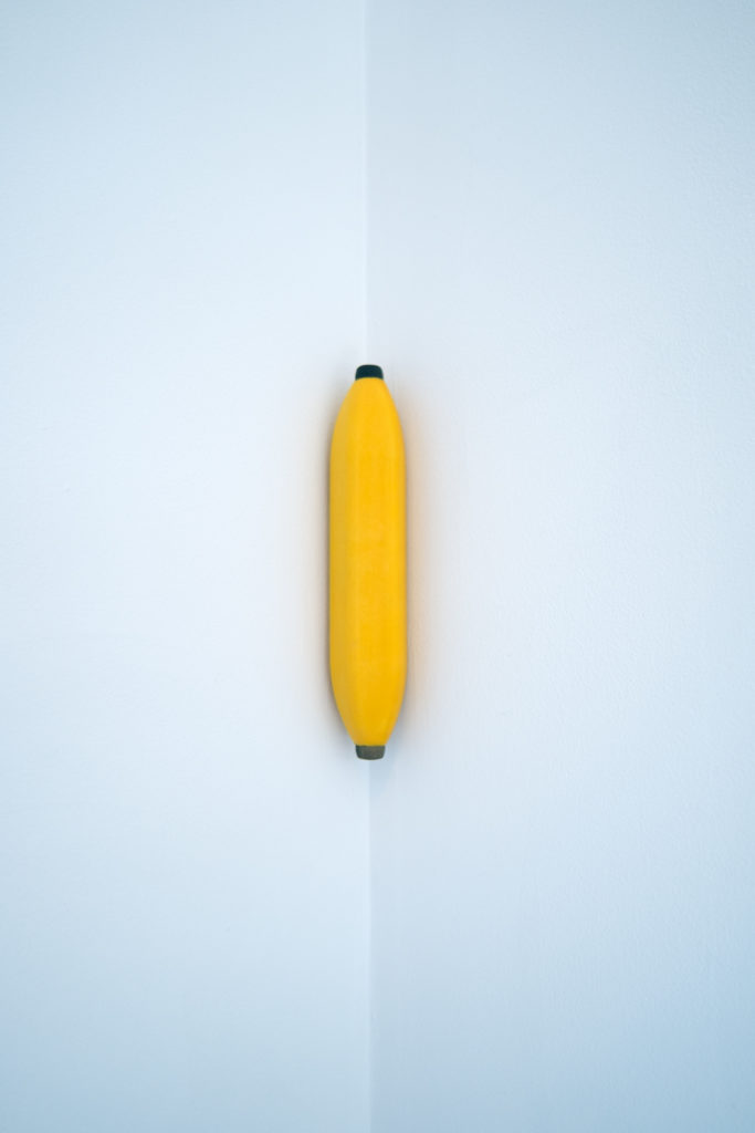 Banana Stick, 2017, Powder Print, 13